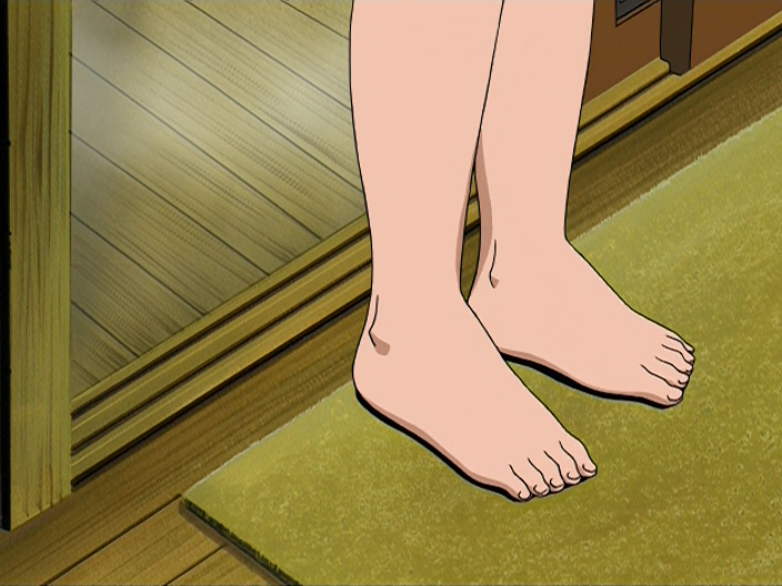 Kidou Shinsengumi Moeyo Ken (Fansubber)